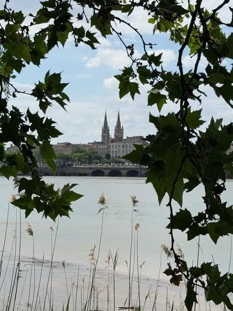 Bordeaux vu depuis la rive de la Garonne