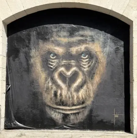 Gorilla mural by Sandrot - Sea Shepherd Darwin Bordeaux