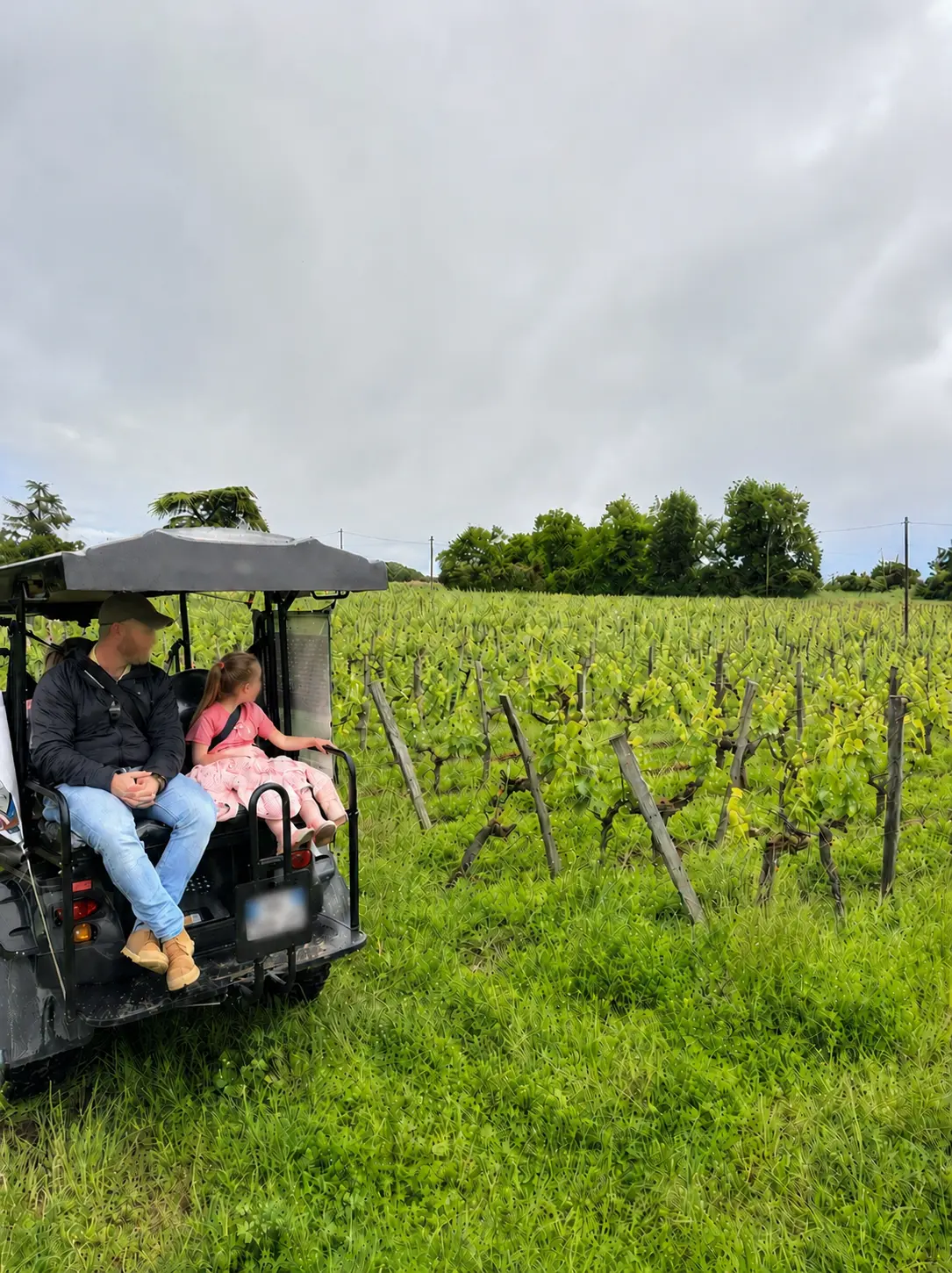 Family learning French through the vineyards near Saint-&Eacute;milion on a vineyard buggy with French in Bordeaux