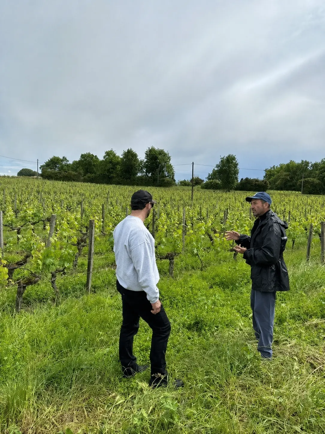 Two adults practising French in conversation in the Bordeaux vineyards near Saint-&Eacute;milion with French in Bordeaux