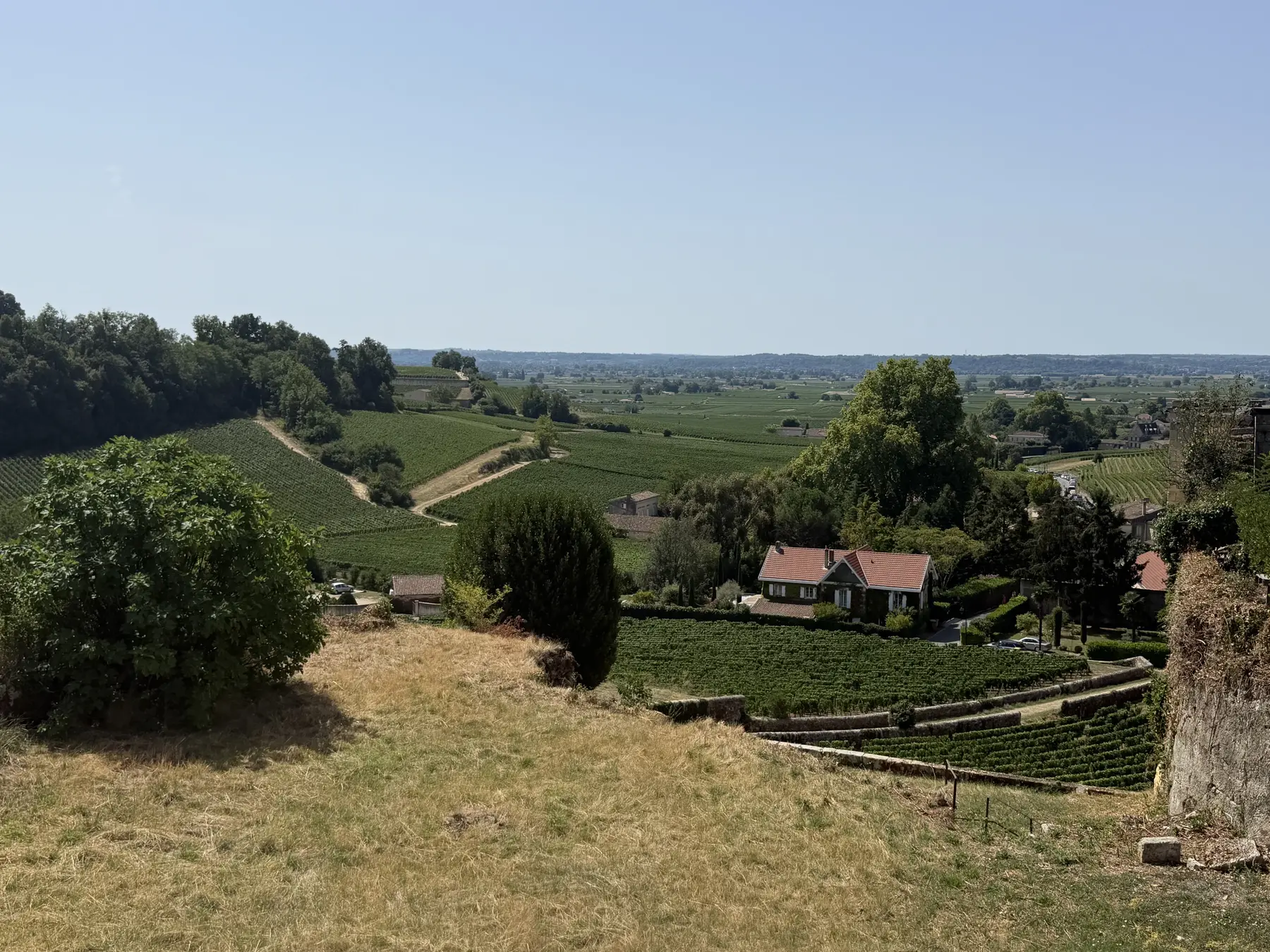 Learn French near Bordeaux vineyards: panoramic view over the vineyards around Saint-Émilion