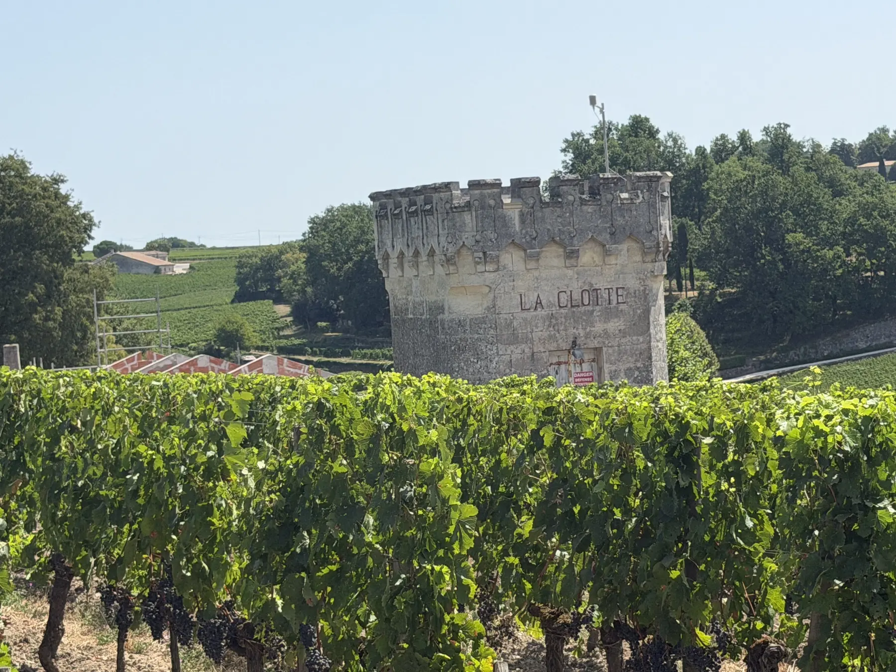 Vineyard rows and a stone tower near Saint-Émilion, setting for a French walk and talk session